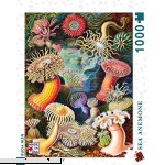 New York Puzzle Company Vintage Images Sea Anemones 1000 Piece Jigsaw Puzzle  B07LCMWGJG